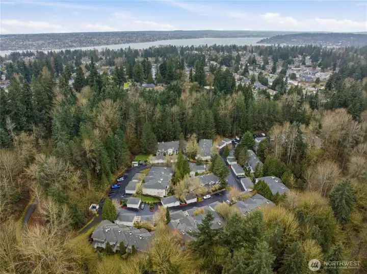 Private Secluded Neighborhood