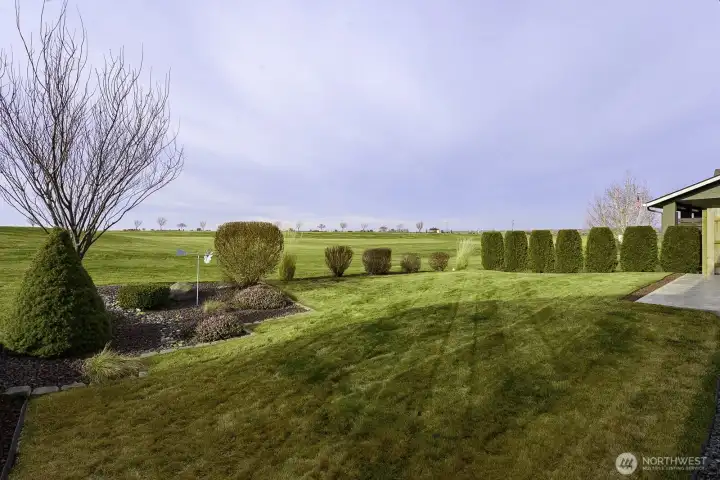 Tasteful Landscaping