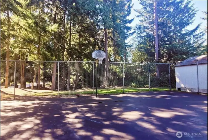 Sport court