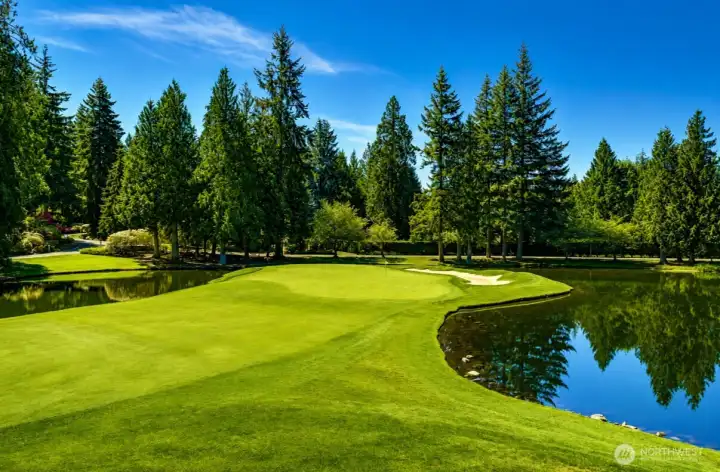 Sahalee Iconic North #1
