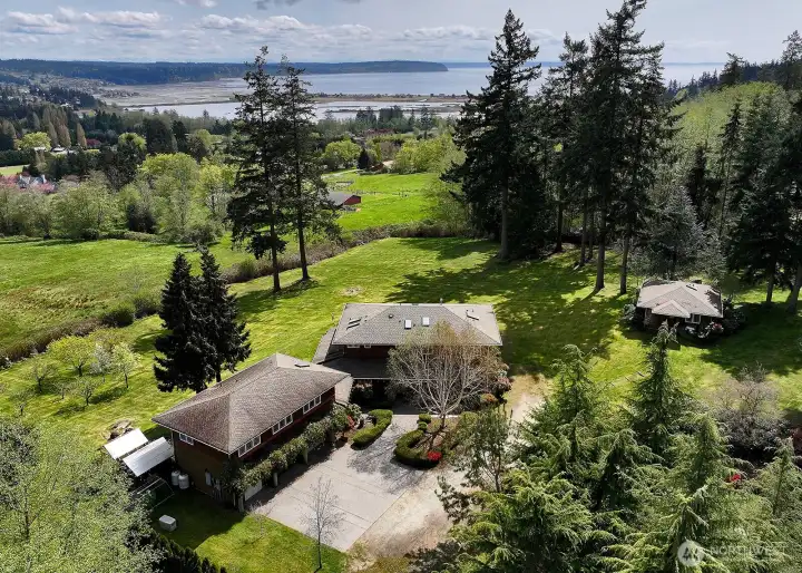Rolling lawn with towering evergreens describes the land.  There is a small orchard, tree lines and blackberry "hedges" close to the property lines for a space that feels defined.