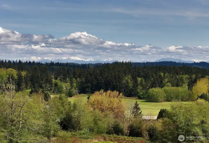 Such a pretty view of rolling land, tree lines and the snow capped Cascade Mountains and Mt. Rainier!