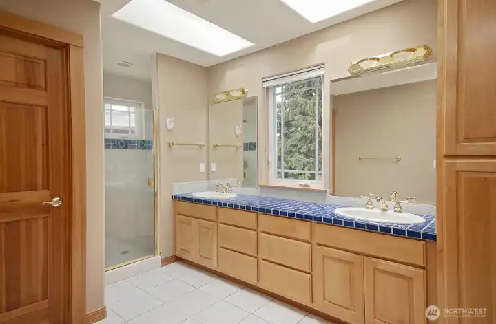Primary bath with skylights and walk in shower.