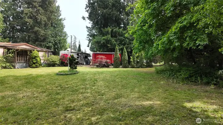 Front yard