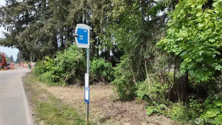 Bus stop right in front.