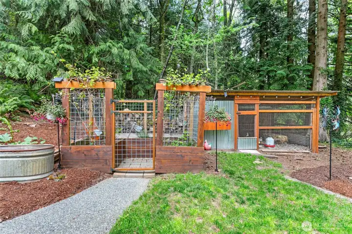 Back yard garden space and chicken coop. Those cuties produce breakfast and can convey if preferred! Back yard garden space and chicken coop. Those cuties produce breakfast and can convey if preferred!