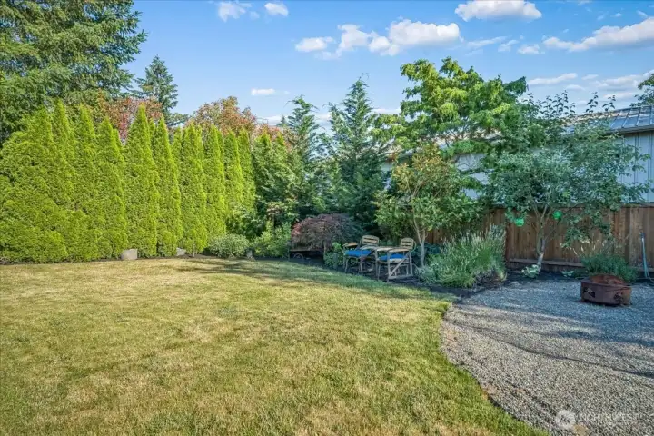 Backyard