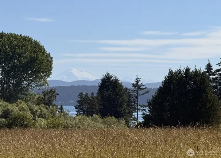 Water views and views of Mt Baker