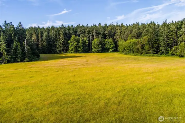 Hay is ready to be harvested!