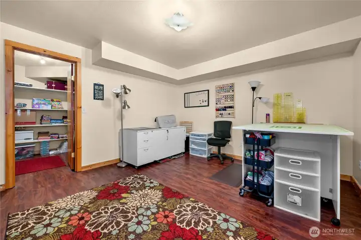 Fourth bedroom on lower level and large closet.