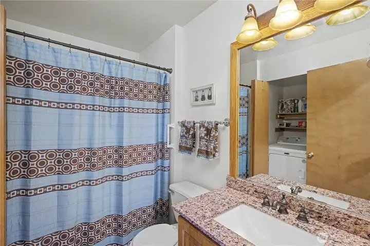 Guest bath Guest bath