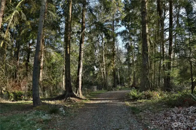 Mature trees provide a picturesque backdrop.