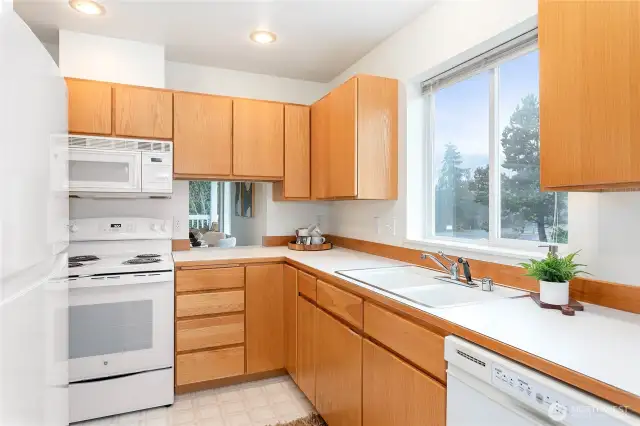 Newer refrigerator and dishwasher.