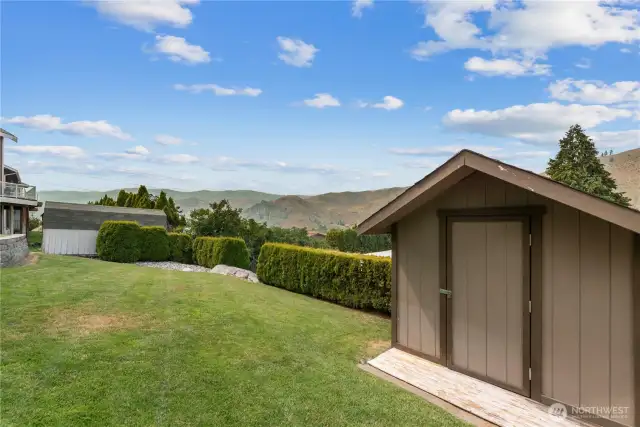 Shed in back yard