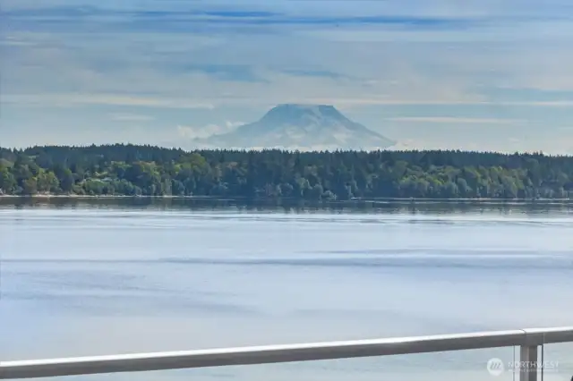 Sometimes Mt Rainier isn't so shy!