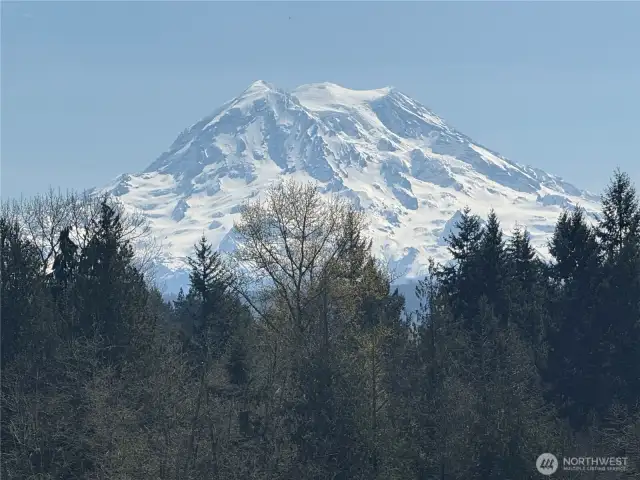 view from neighbor (114th) to show possibility after logging