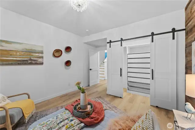 2nd lower level bedroom
