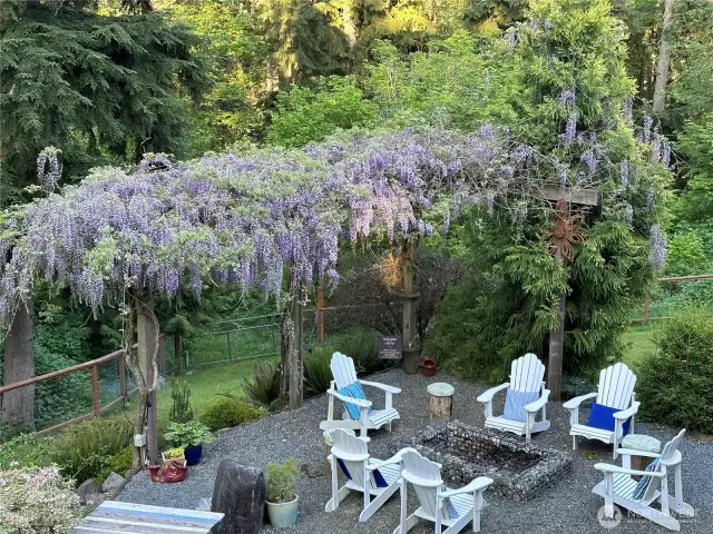 Back yard fire pit