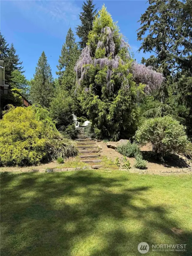 You'll feel like your in an arboretum!