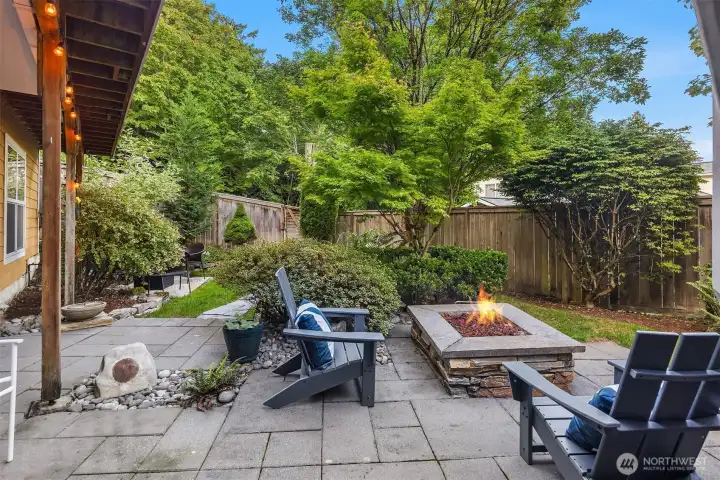 The back yard is professionally hardscaped with built in gas fireplace.