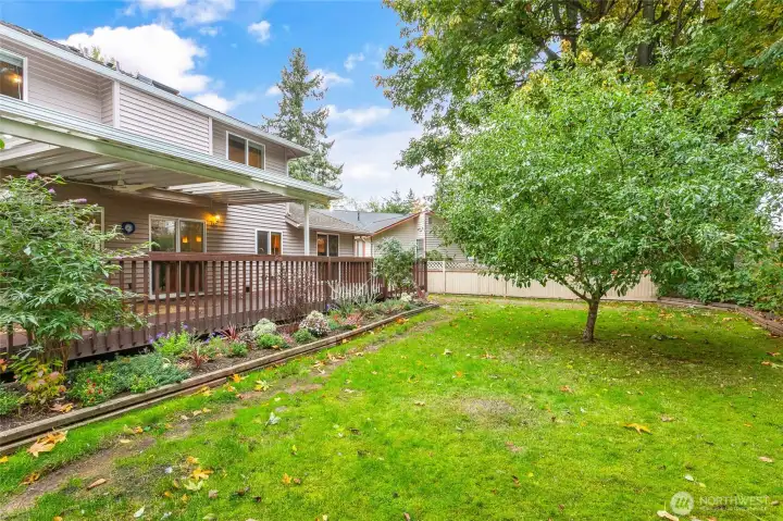 This property has an apple tree, and two types of cherry trees (Lapins & Rainier).
