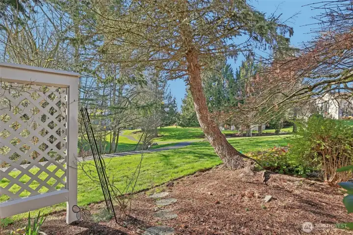 Lovely serene view from back patio