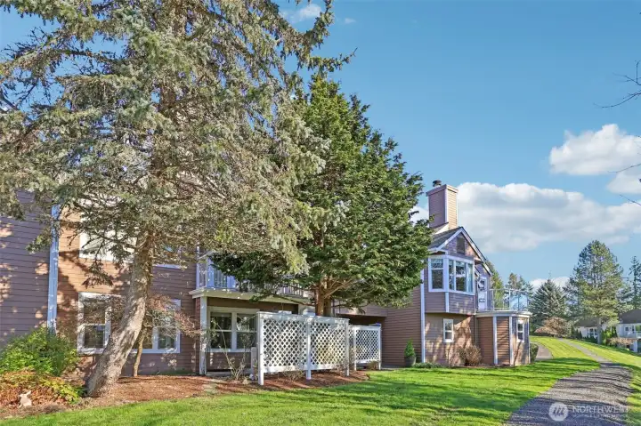 Front grass toward back patio