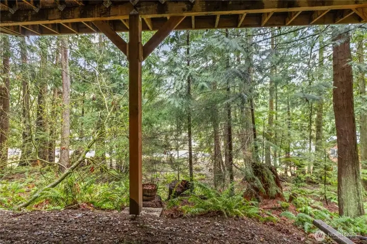 Territorial views perfect for wildlife spotting