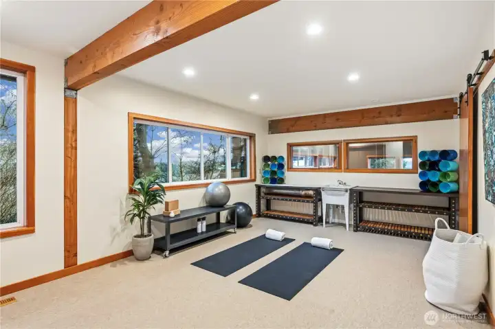 Exercise/Art Studio/Office