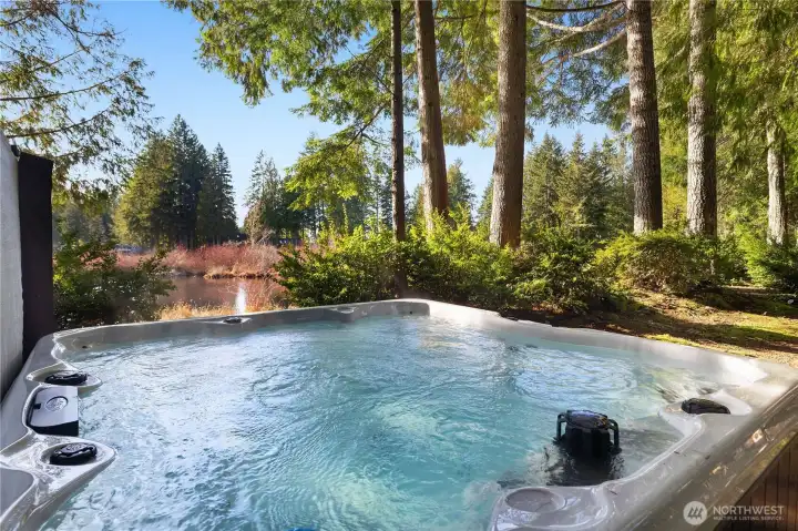 Jump in the hottub - privacy and lake view!