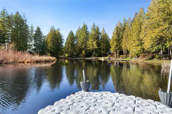 Looking out from the dock.
