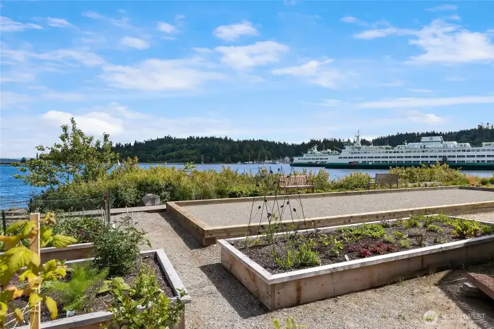Homeowners can apply for these garden plots have grown lovely flowers and vegetables.  (That's a Bocci Ball court in the back ground)