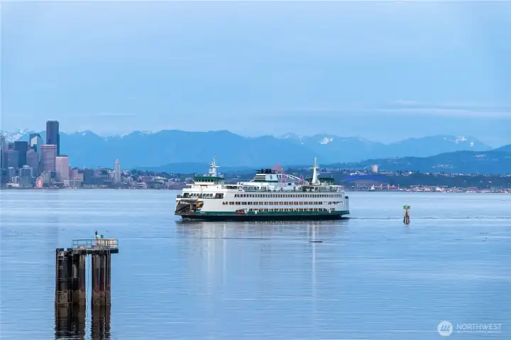 Watching the Ferries glide past never gets old.