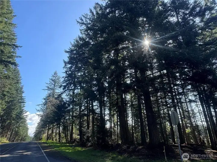 Sunny corner building lot