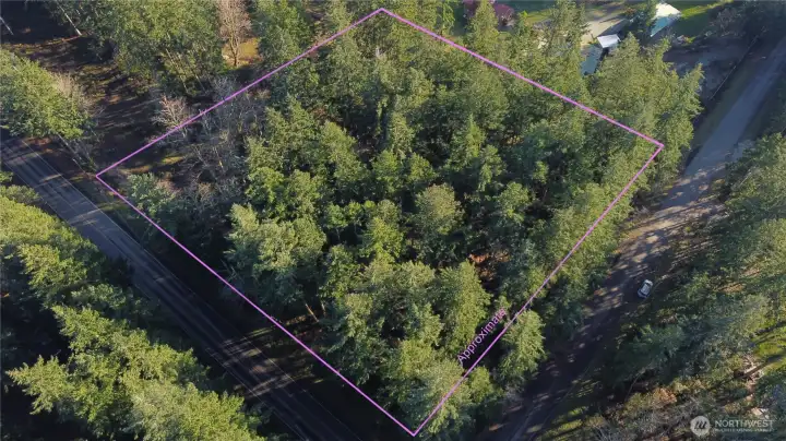 Sunny Corner Lot **Lines are approximate