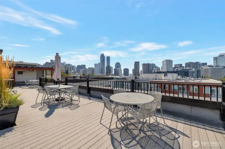 Rooftop and BBQ area