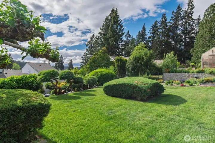 Upper lawn & garden area with fruit trees