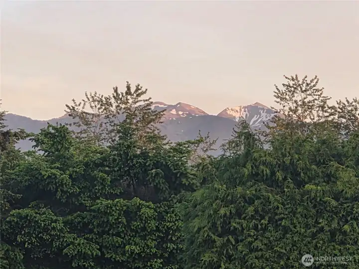 Mountain view at sunset zoomed in above the trees.