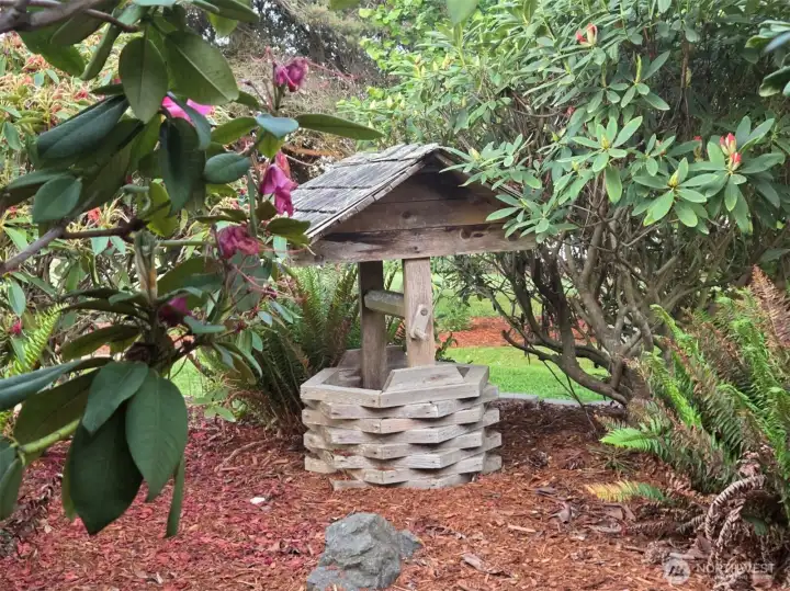 Sweet, little wishing well amongst the ferns and rhododendrons