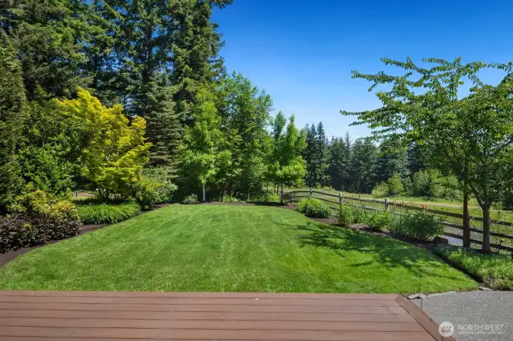 Beautiful yard and landscaping