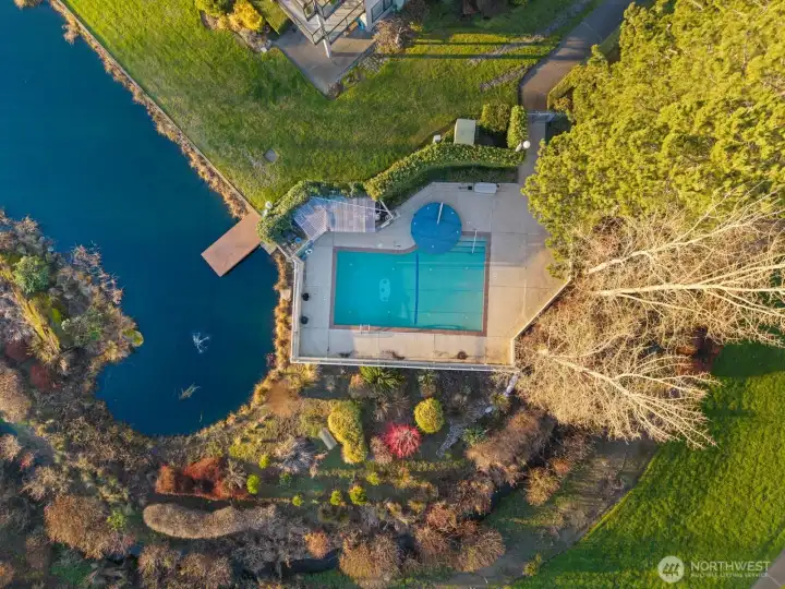 Swimming Pool Swimming Pool