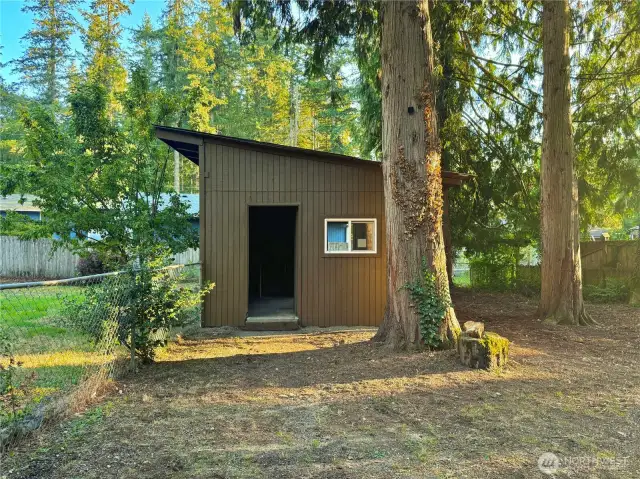 Shed