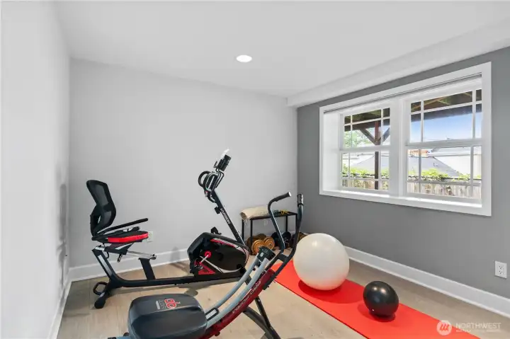 Lower level bedroom/flex space.