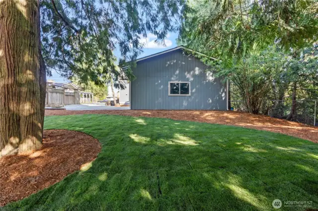 Backyard w/New Sod & Bark!