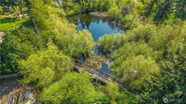 White Center Heights Park. This bridge spans a smalll pond that's home to ducks and is a cozy spot to enjoy lunch!