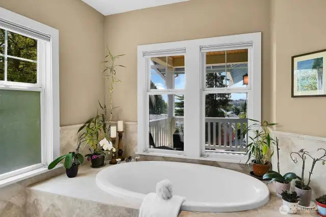 This wonderful deep soaking tub has a view! Very spa-like...a true haven for the end of a long day.