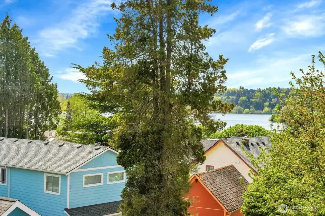 Views of Green Lake from the second floor..