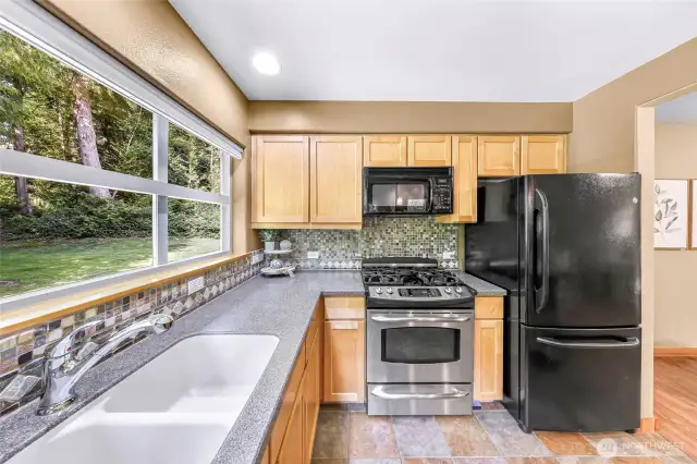 Gas stainless range