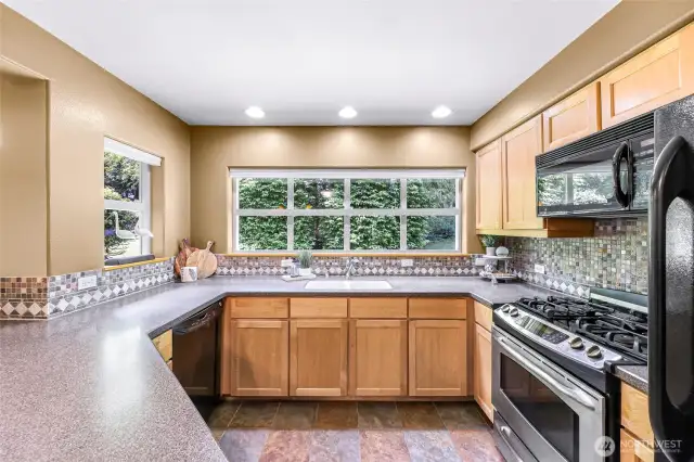 Unique kitchen window looks out onto your gorgeous backyard greenery.