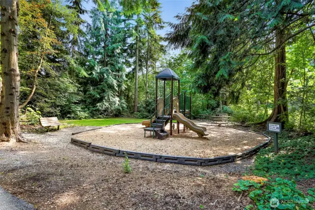 Play area